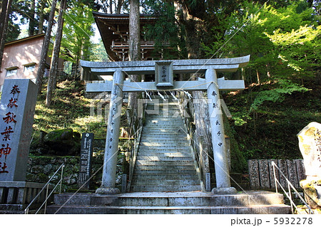 秋葉神社　鳥居　高知県仁淀川町　2012.11.6撮影　鳥毛ひねり　四国山地 5932278