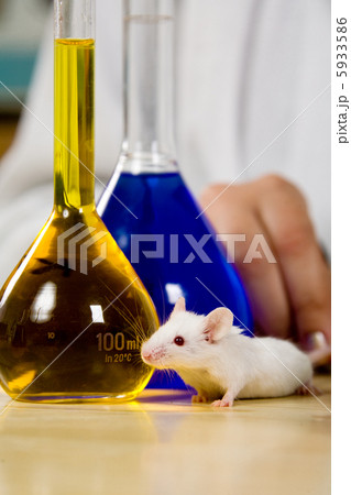 Experiment Experiment 5933586