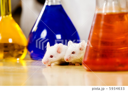 Experiment Experiment 5934633