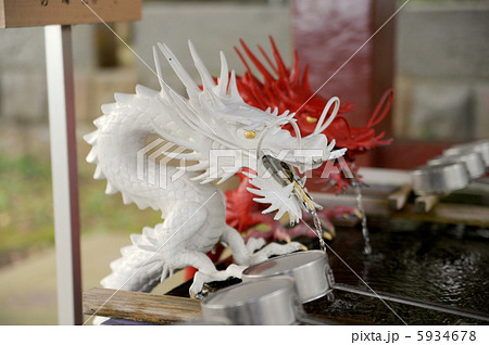 紅白の縁結び龍 紅白の縁結び龍 5934678