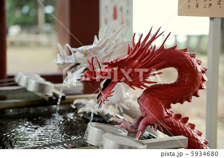 紅白の縁結び龍 5934680