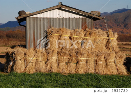 野辺山高原　秋 5935789