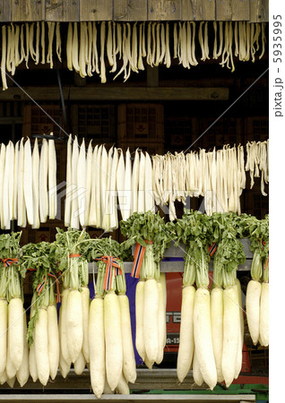 大根 5935995