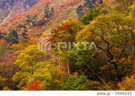 谷川岳の紅葉 谷川岳の紅葉 5936345