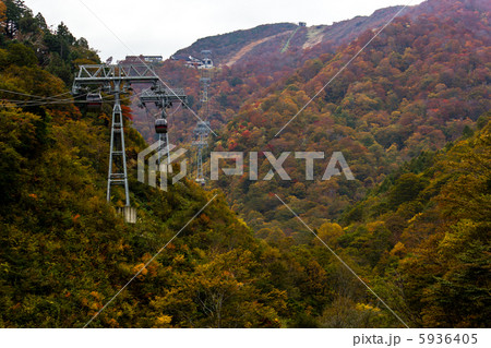 谷川岳ロープウェー 5936405