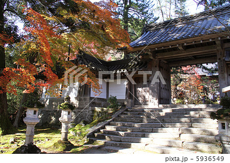 西明寺の表門 5936549