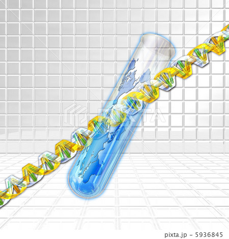 世界地図の試験管で試験するDNA 世界地図の試験管で試験するDNA 5936845