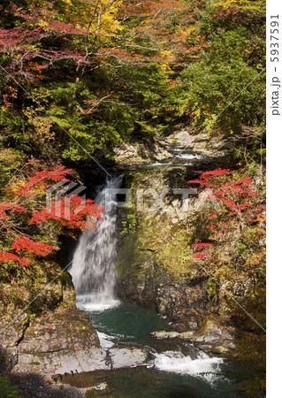 高野大滝の紅葉 5937591