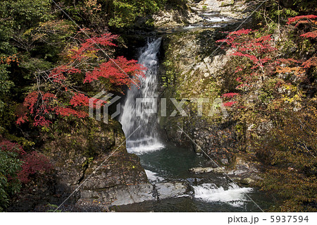 高野大滝の紅葉 5937594