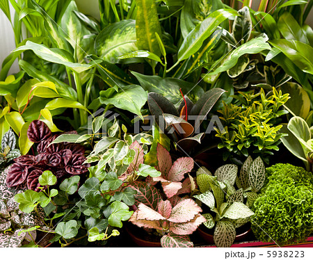 nature background 5938223