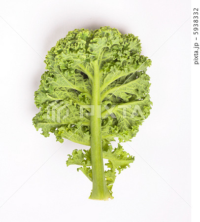 Fresh kale Fresh kale 5938332