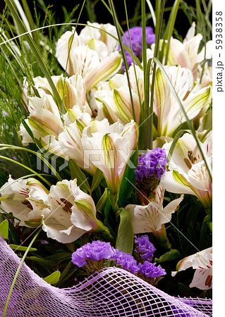 beautiful flowers beautiful flowers 5938358