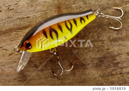 fishing lure fishing lure 5938839