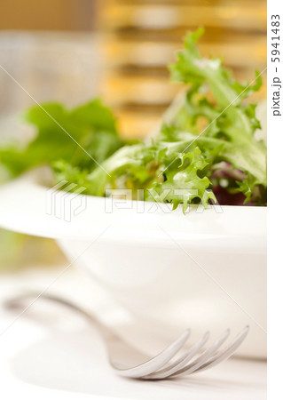 fresh salad fresh salad 5941483