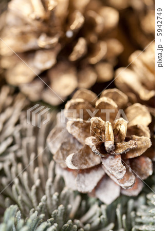 christmas tree christmas tree 5942749