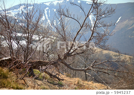 Carpathian Mountains Carpathian Mountains 5945237