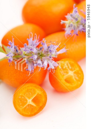 fresh kumquat fresh kumquat 5946948
