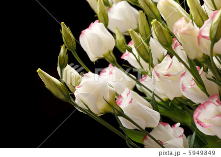 nice flowers 5949849