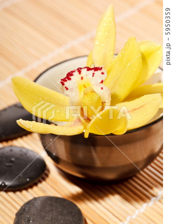 therapy stones and orchid flower 5950359