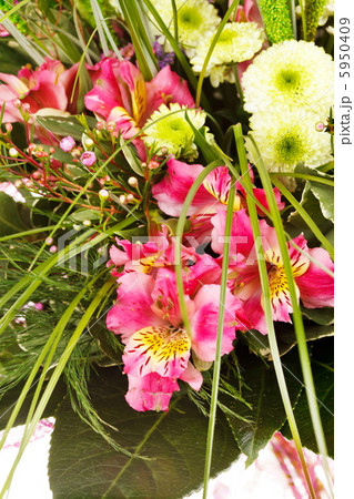 Bridal Bouquet Bridal Bouquet 5950409