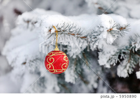 Christmas ball on the fir Christmas ball on the fir 5950890