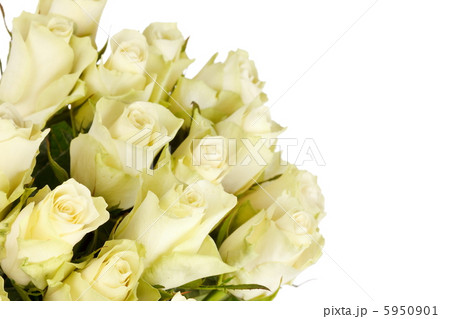 beautiful roses beautiful roses 5950901