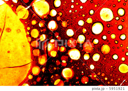 abstract pattern 5951921