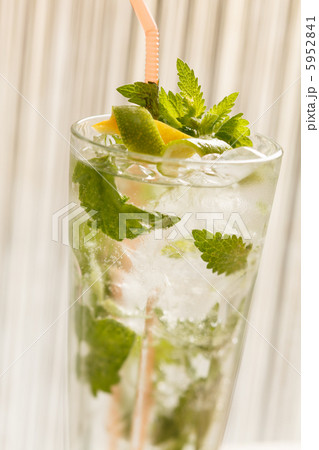 mojito cocktail mojito cocktail 5952841