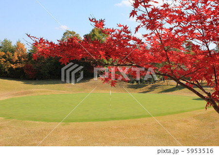 ゴルフ場の紅葉 5953516