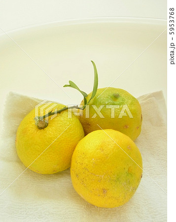 冬至イメージ 5953768