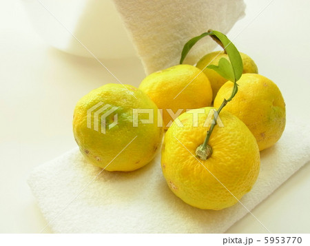 冬至イメージ 冬至イメージ 5953770