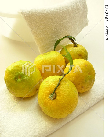 冬至イメージ 冬至イメージ 5953771