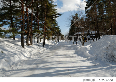 雪道 5953778