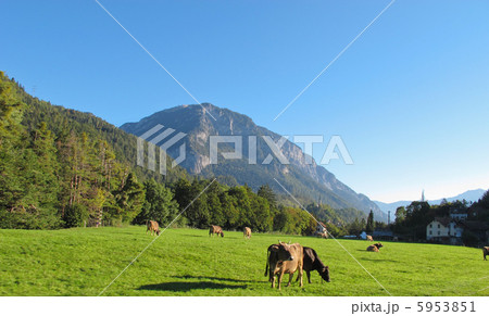 牧場と青空 スイスの風景 欧州 の写真素材