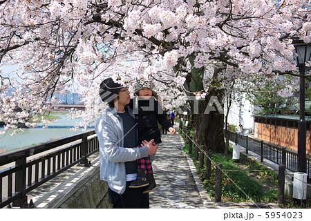 お花見 5954023