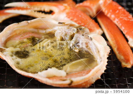 カニ カニ 5954100