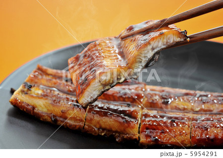 ウナギの蒲焼き ウナギの蒲焼き 5954291