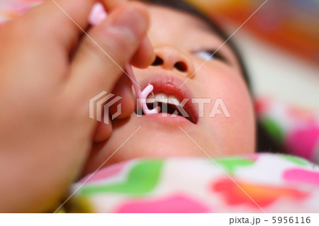 歯磨きする子供の口元アップ(歯間ブラシ) 歯磨きする子供の口元アップ(歯間ブラシ) 5956116
