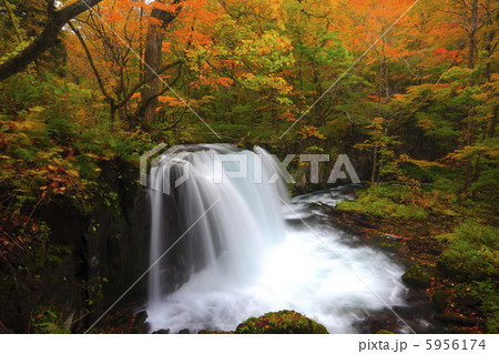 銚子大滝と紅葉 銚子大滝と紅葉 5956174