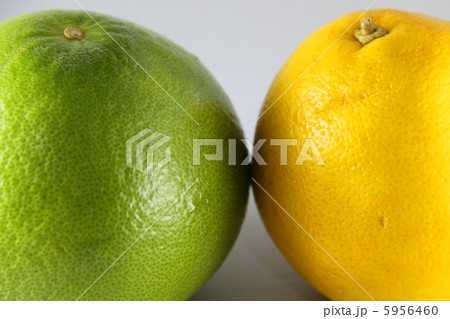 となり合うスウィーティー 5956460