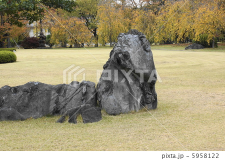 庭石　枝垂れ桜 5958122