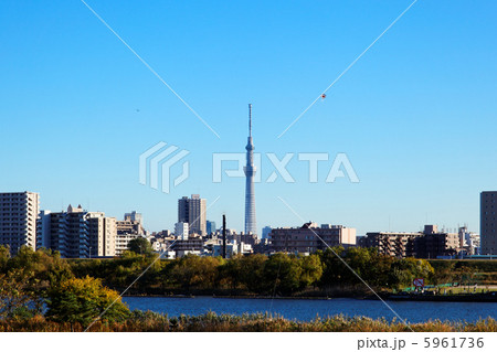 荒川の川原より青空が広がる東京スカイツリーと川の手住宅街を臨む 荒川の川原より青空が広がる東京スカイツリーと川の手住宅街を臨む 5961736