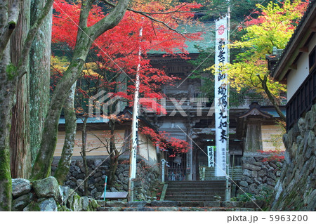両界山横蔵寺 仁王門 両界山横蔵寺 仁王門 5963200