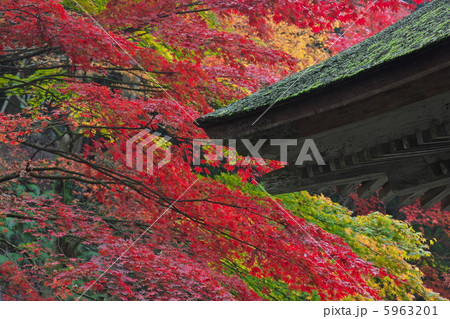 両界山横蔵寺　仁王門 5963201