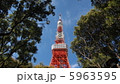 木々の間から東京タワー 5963595