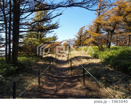 美ヶ原高原にて 5963840