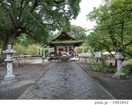 京都・平野神社 5963842