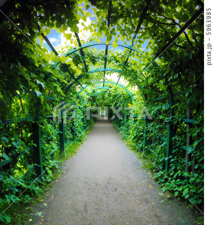 Green Arch Green Arch 5963985