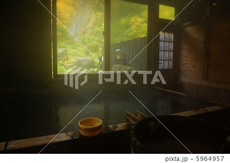 青荷温泉の龍神の湯 青荷温泉の龍神の湯 5964957