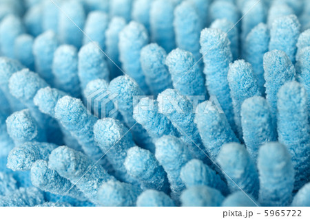 carpet carpet 5965722